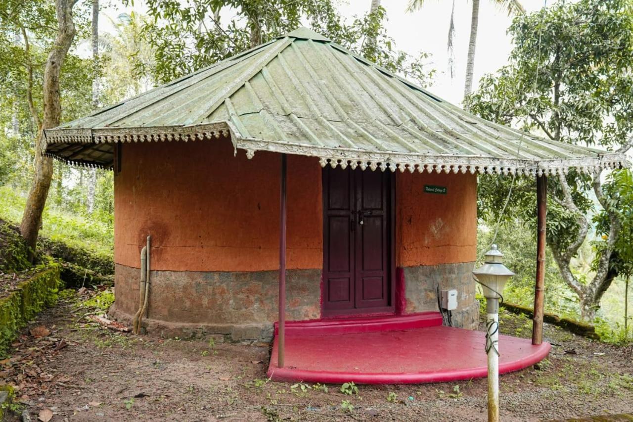 Punarjani Ayurvedic Resorts Ramakkalmedu Exteriér fotografie