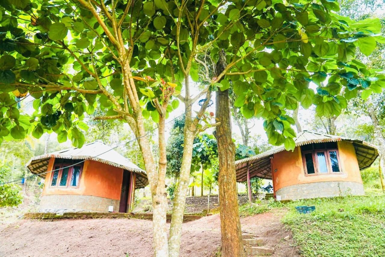 Punarjani Ayurvedic Resorts Ramakkalmedu Exteriér fotografie
