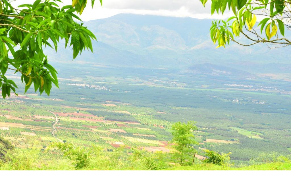 Punarjani Ayurvedic Resorts Ramakkalmedu Exteriér fotografie