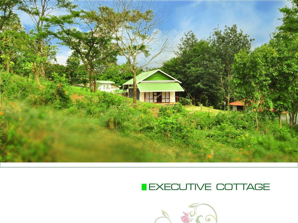 Punarjani Ayurvedic Resorts Ramakkalmedu Exteriér fotografie